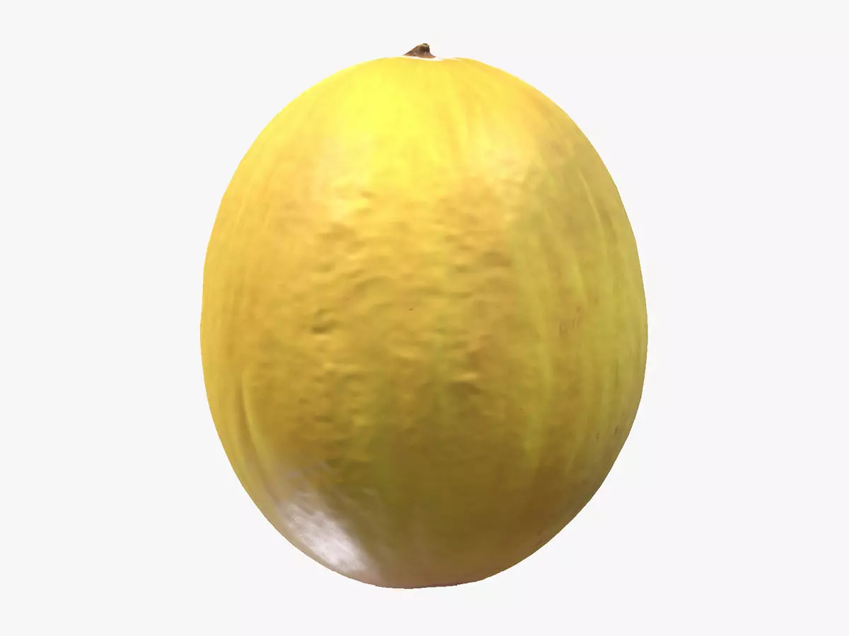 Canary Melon Low Poly 3D model_0