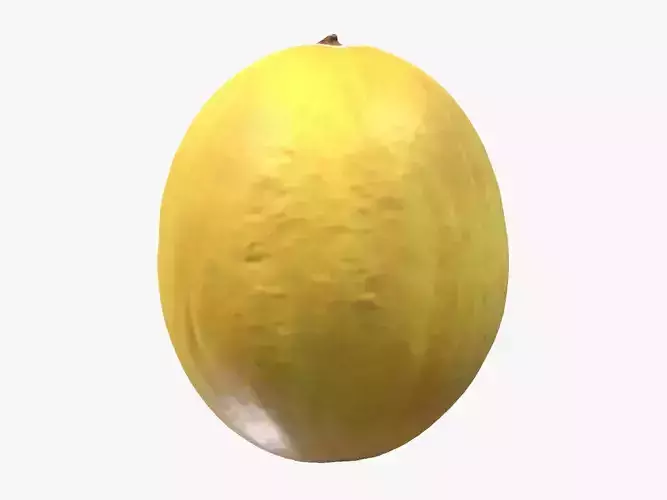 Canary Melon Low Poly 3D model