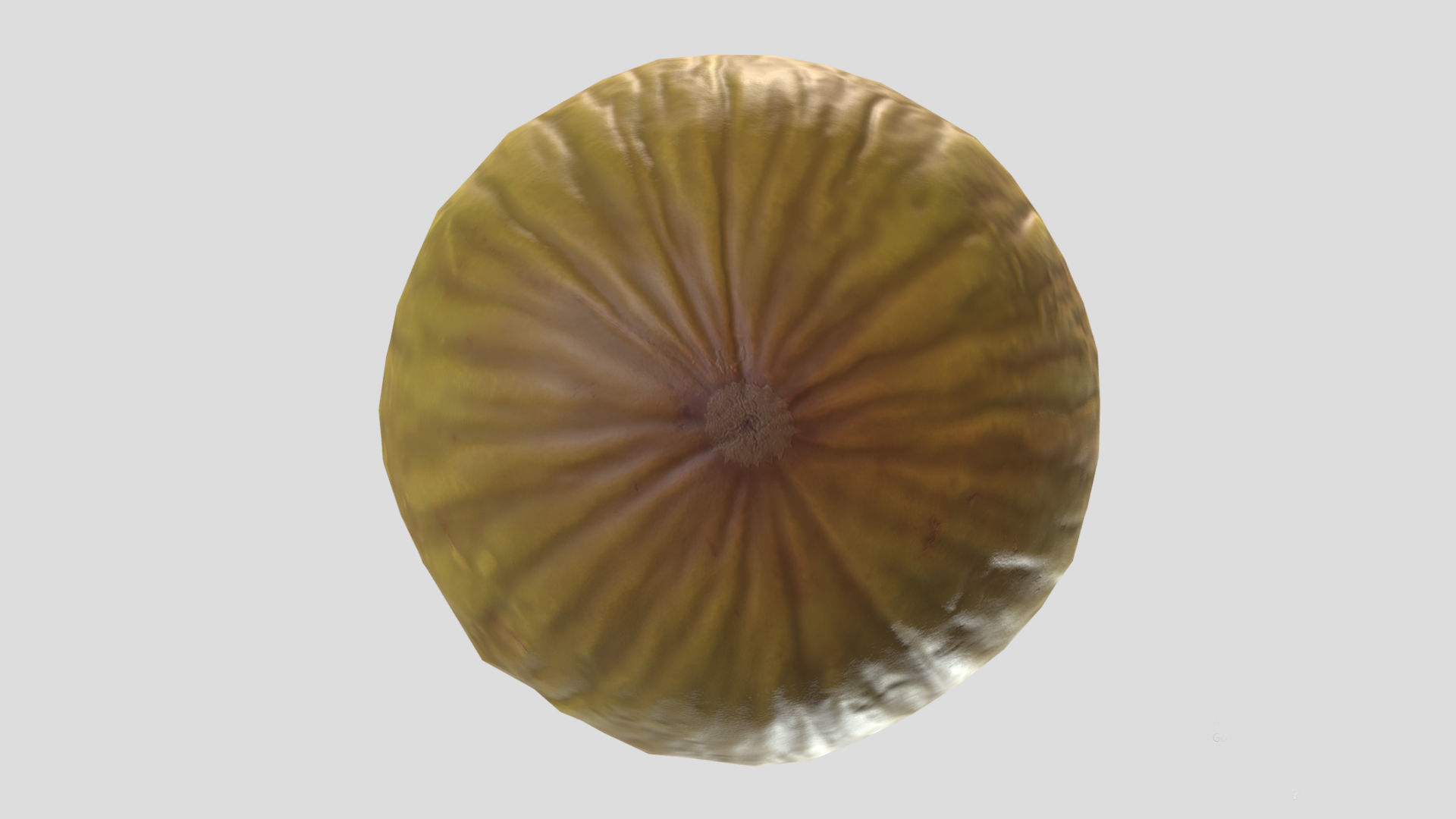 Casaba Melon Low Poly 3D model_2