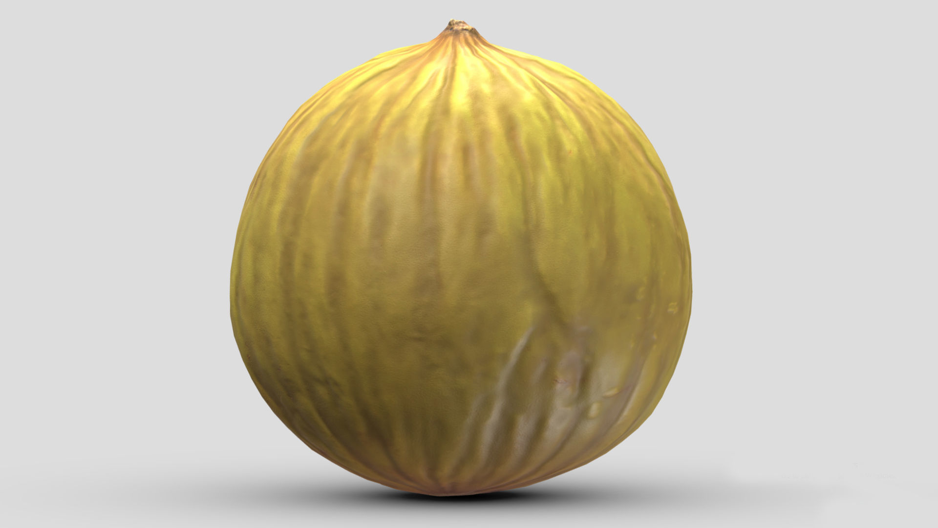 Casaba Melon Low Poly 3D model_5