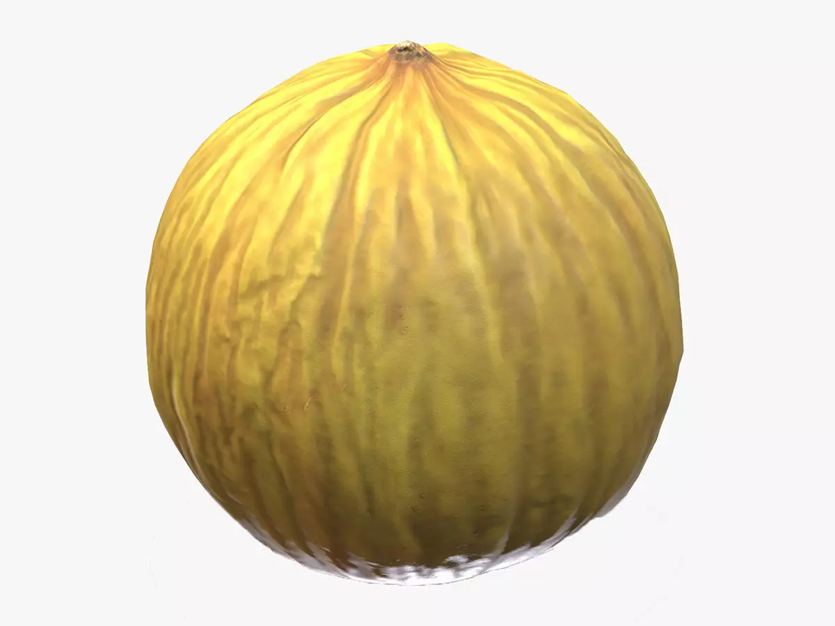 Casaba Melon Low Poly 3D model_0