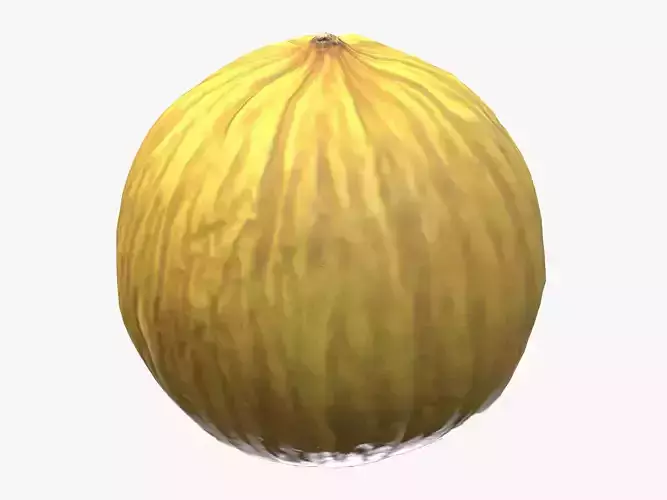 Casaba Melon Low Poly 3D model