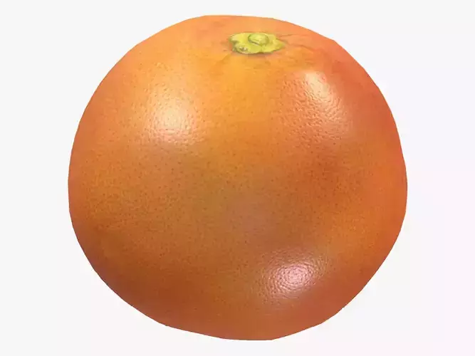 Clementine Low Poly 3D model