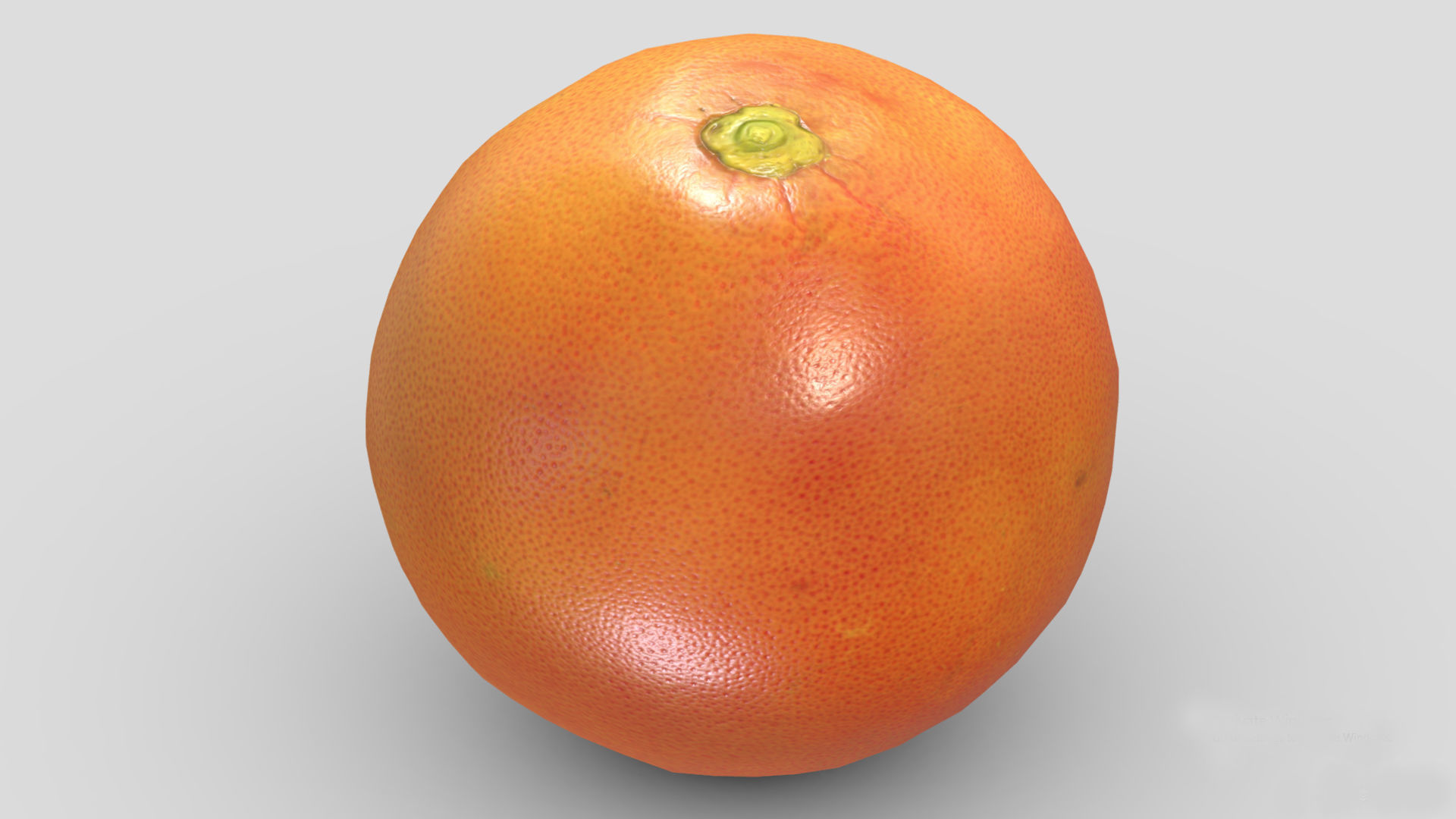 Clementine Low Poly 3D model_5