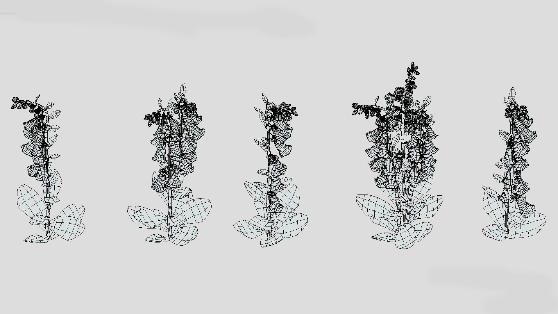 Cone Flower Low Poly 3D model_10