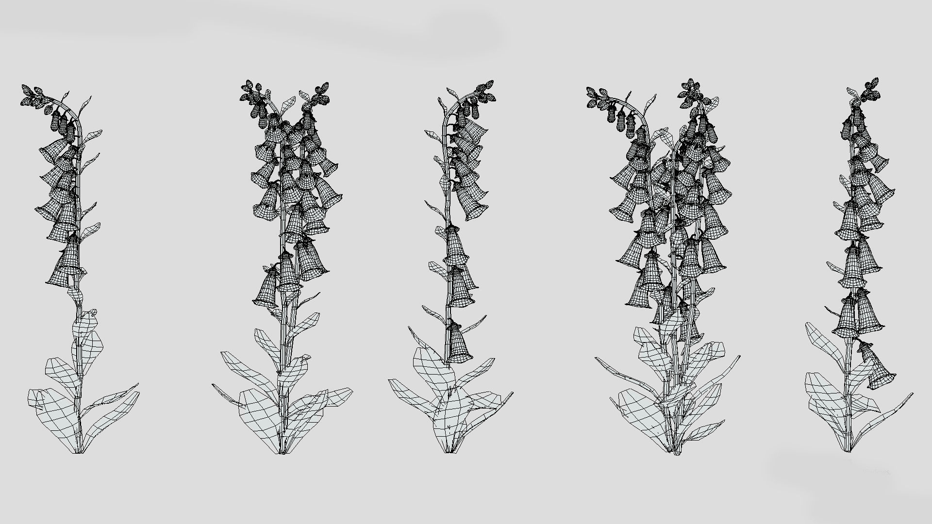 Cone Flower Low Poly 3D model_9