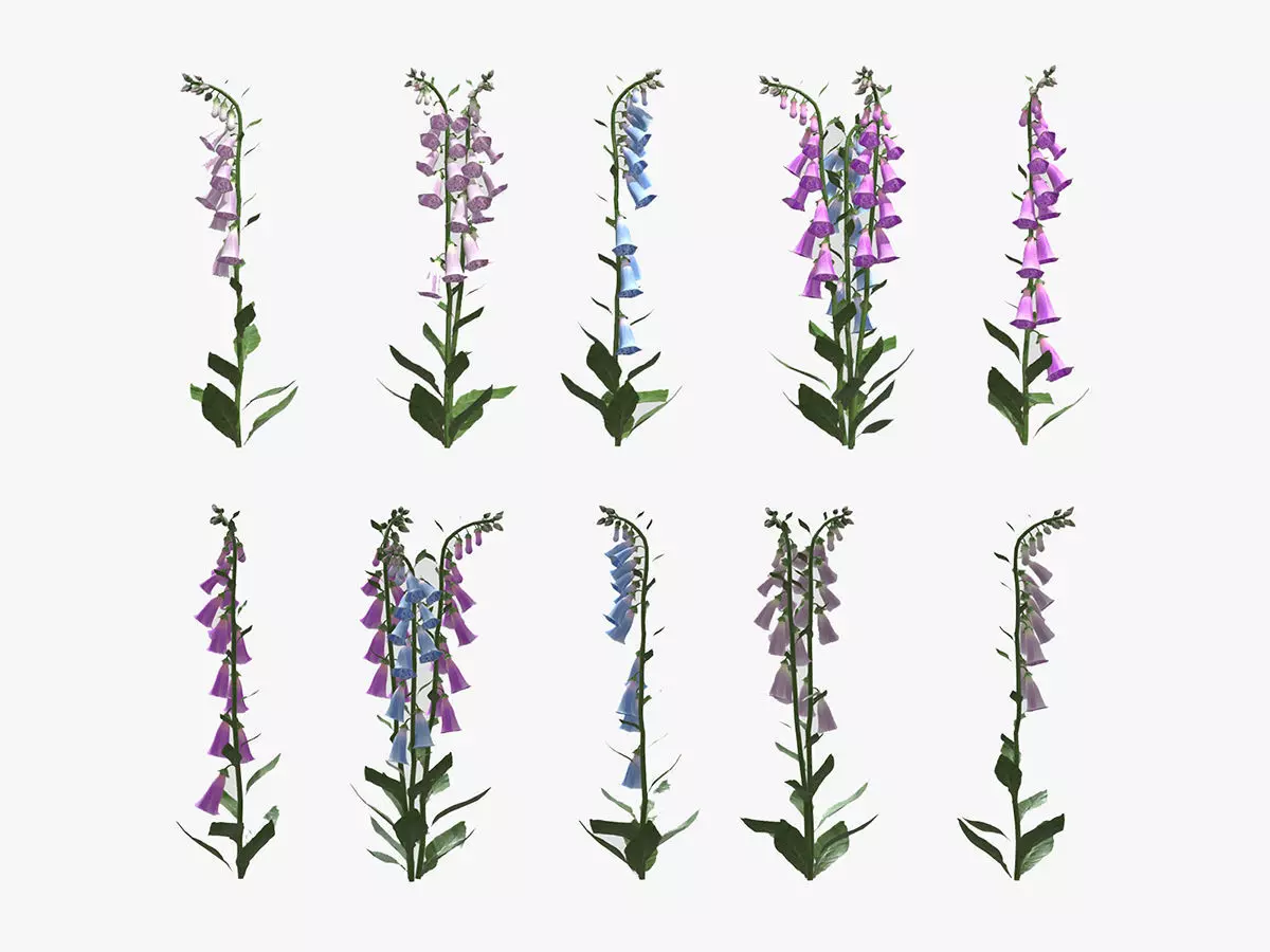 Cone Flower Low Poly 3D model_0