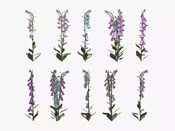 Cone Flower Low Poly 3D model