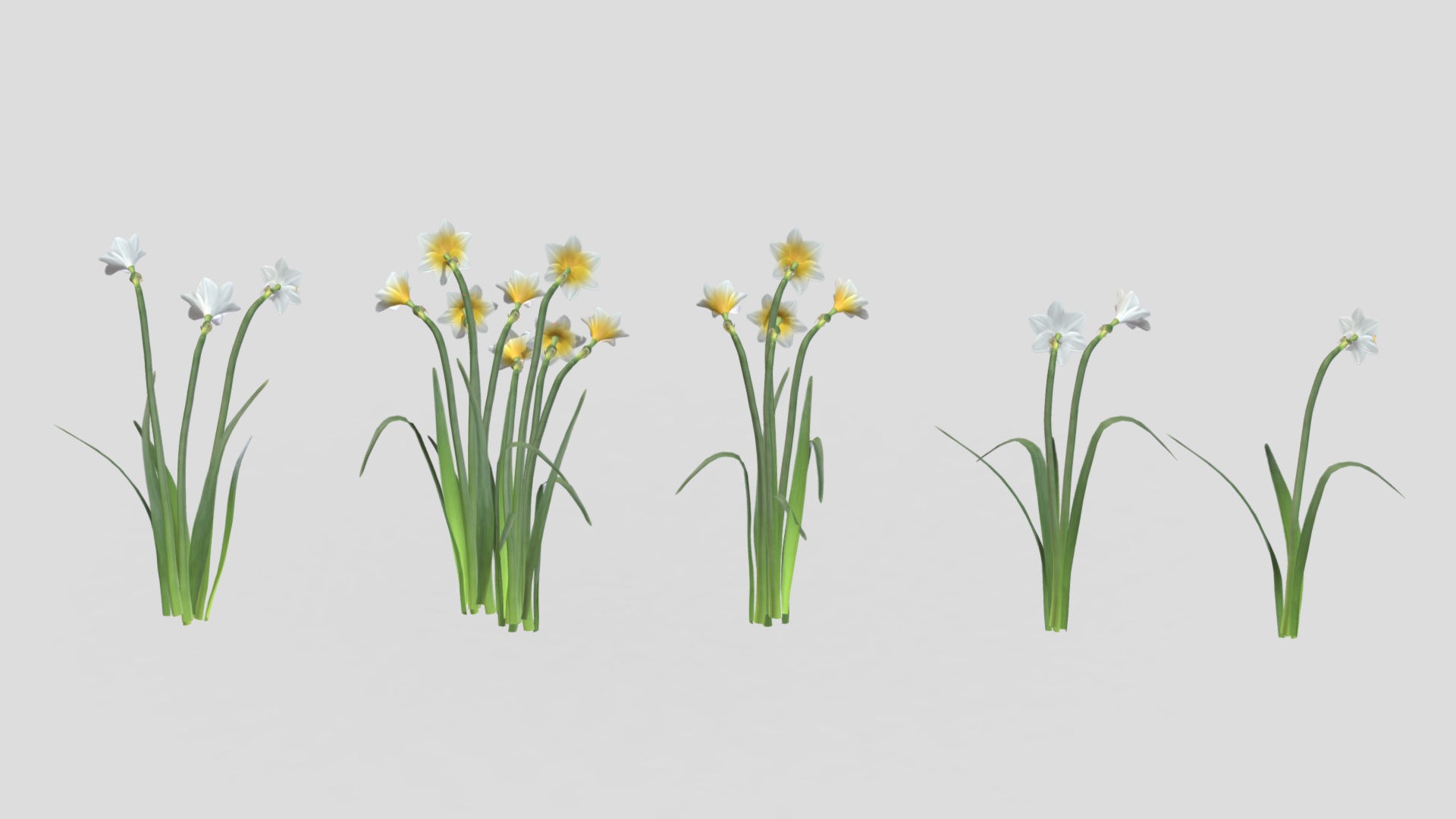 Cool Flame Flower  Low Poly 3D model_5