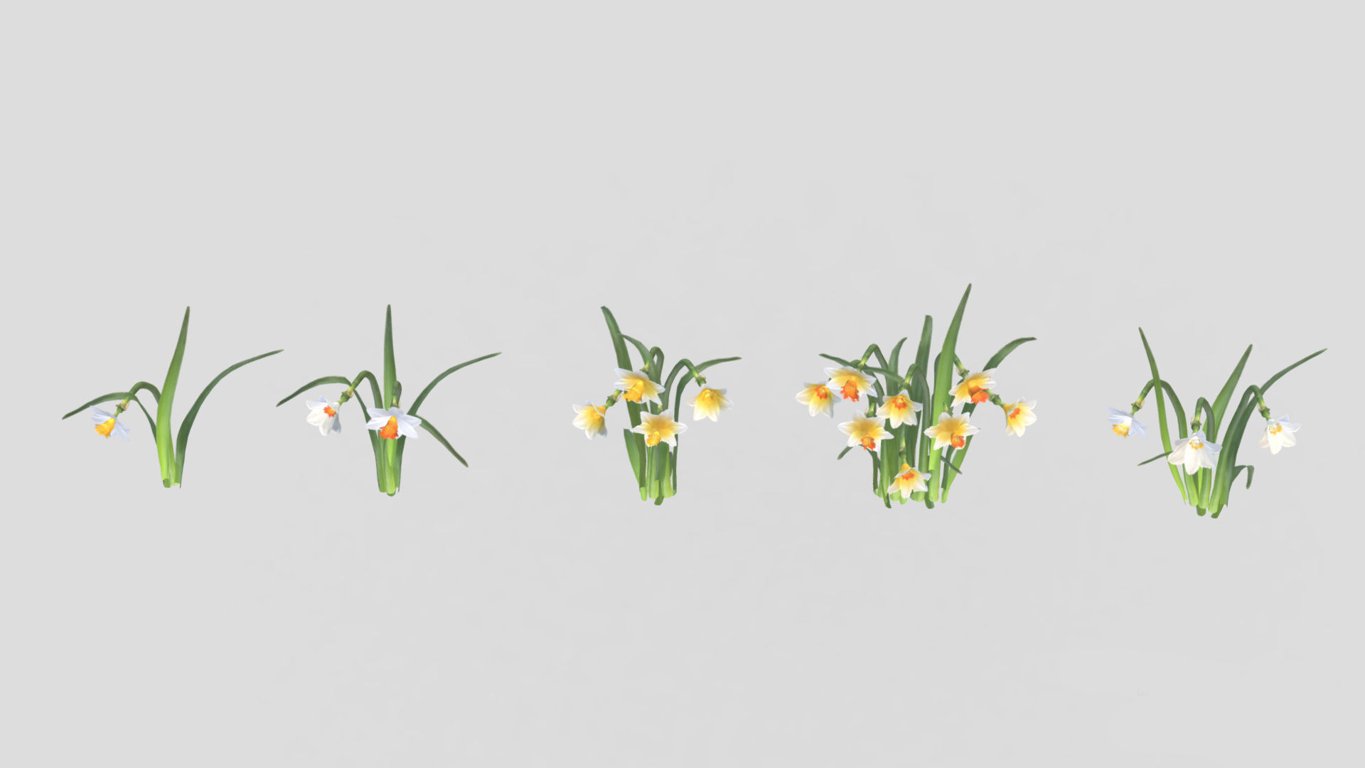 Cool Flame Flower  Low Poly 3D model_4