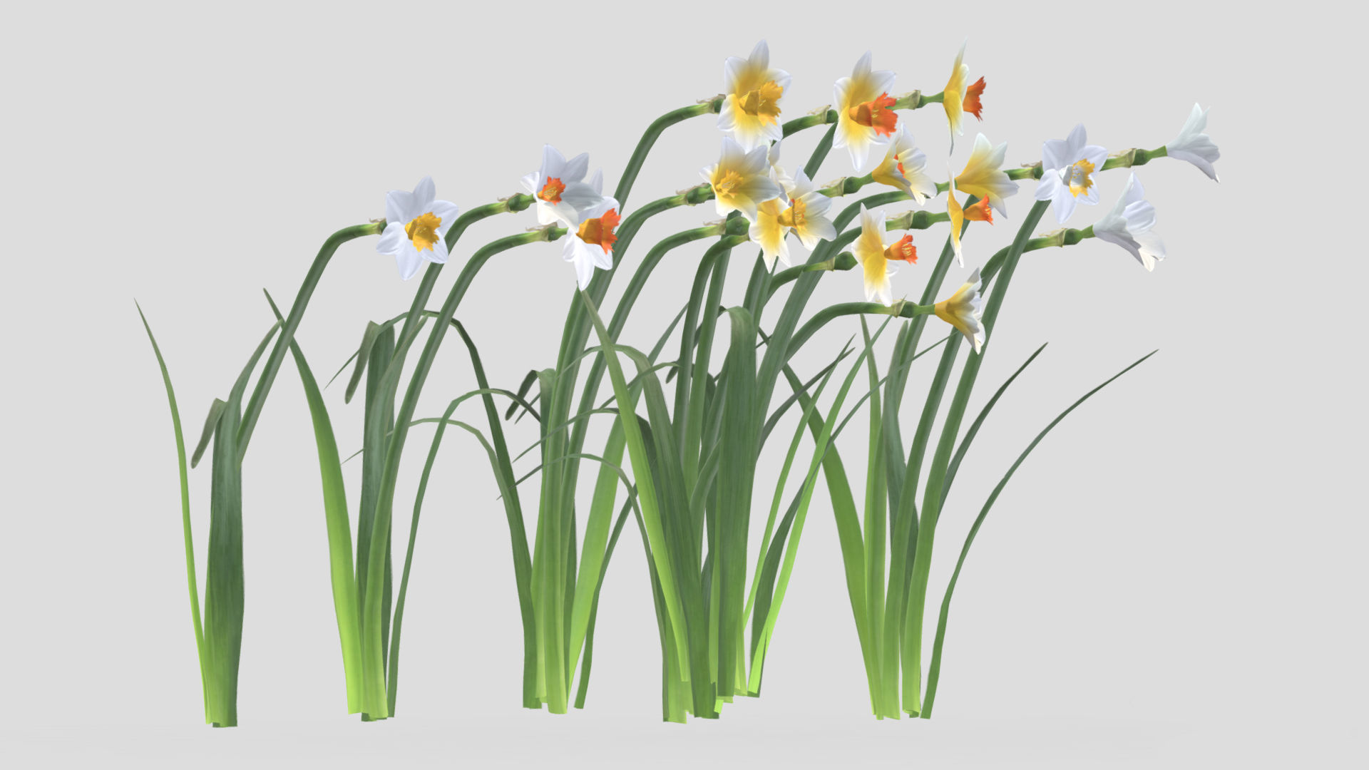 Cool Flame Flower  Low Poly 3D model_7