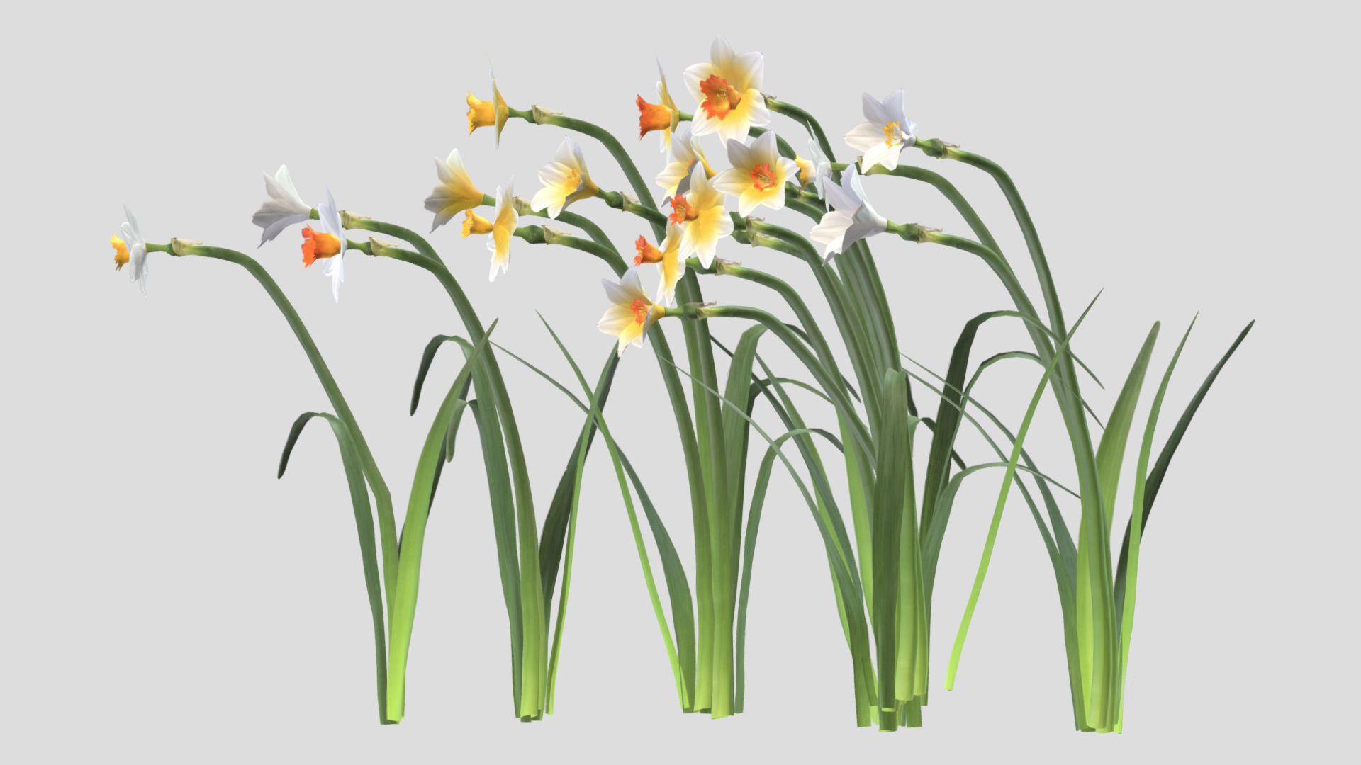 Cool Flame Flower  Low Poly 3D model_6