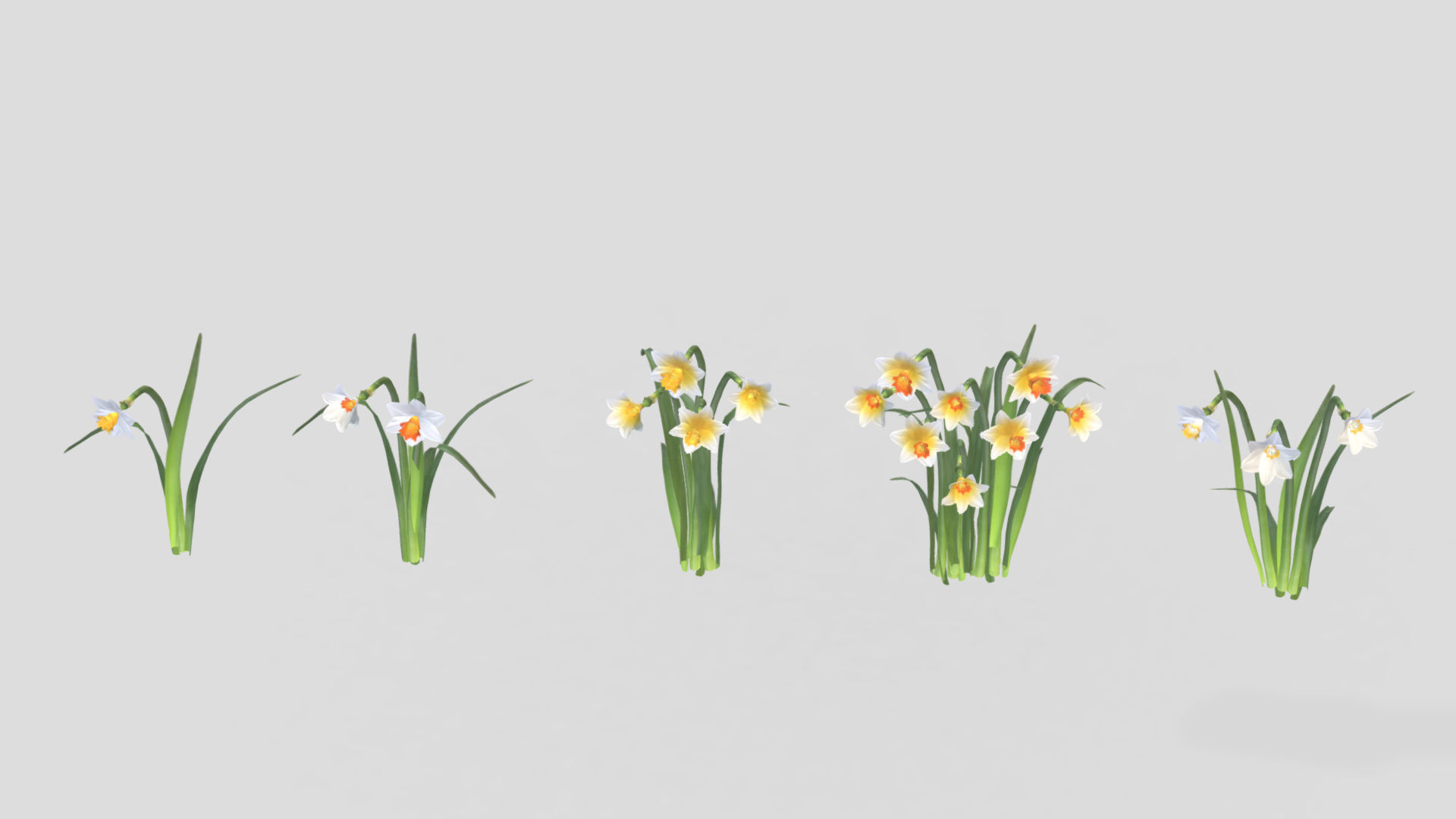 Cool Flame Flower  Low Poly 3D model_2