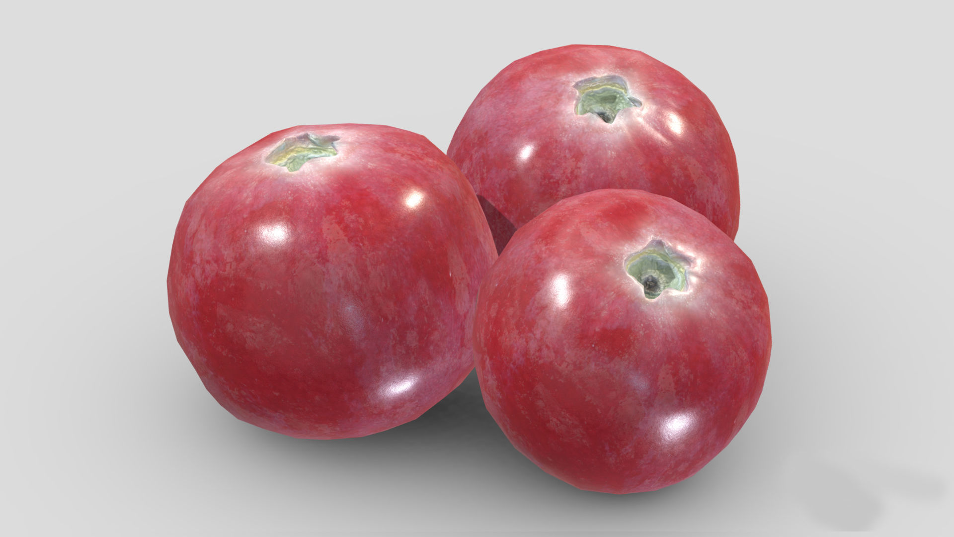 Cranberry Low Poly 3D model_5