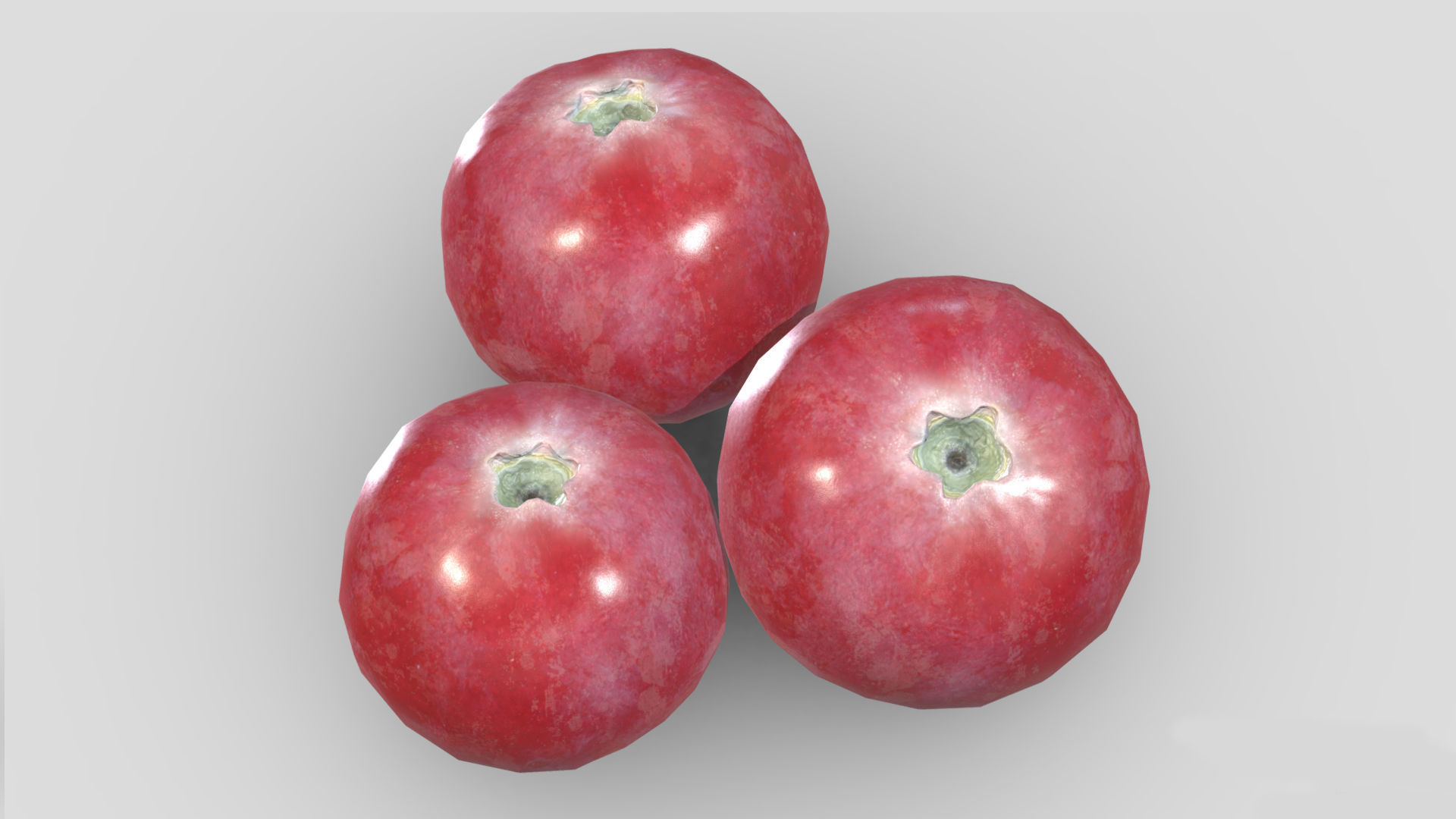 Cranberry Low Poly 3D model_7