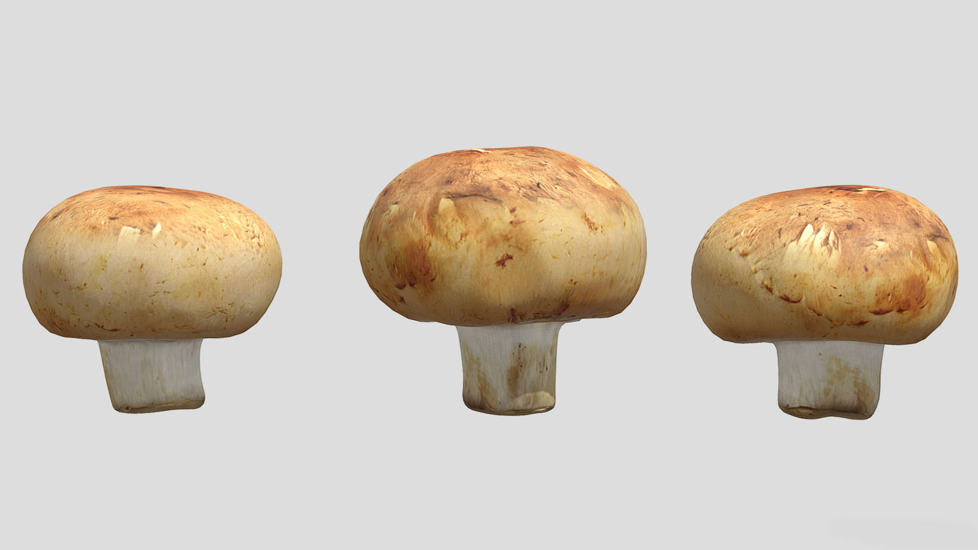 Cremini Mushroom Low Poly 3D model_1