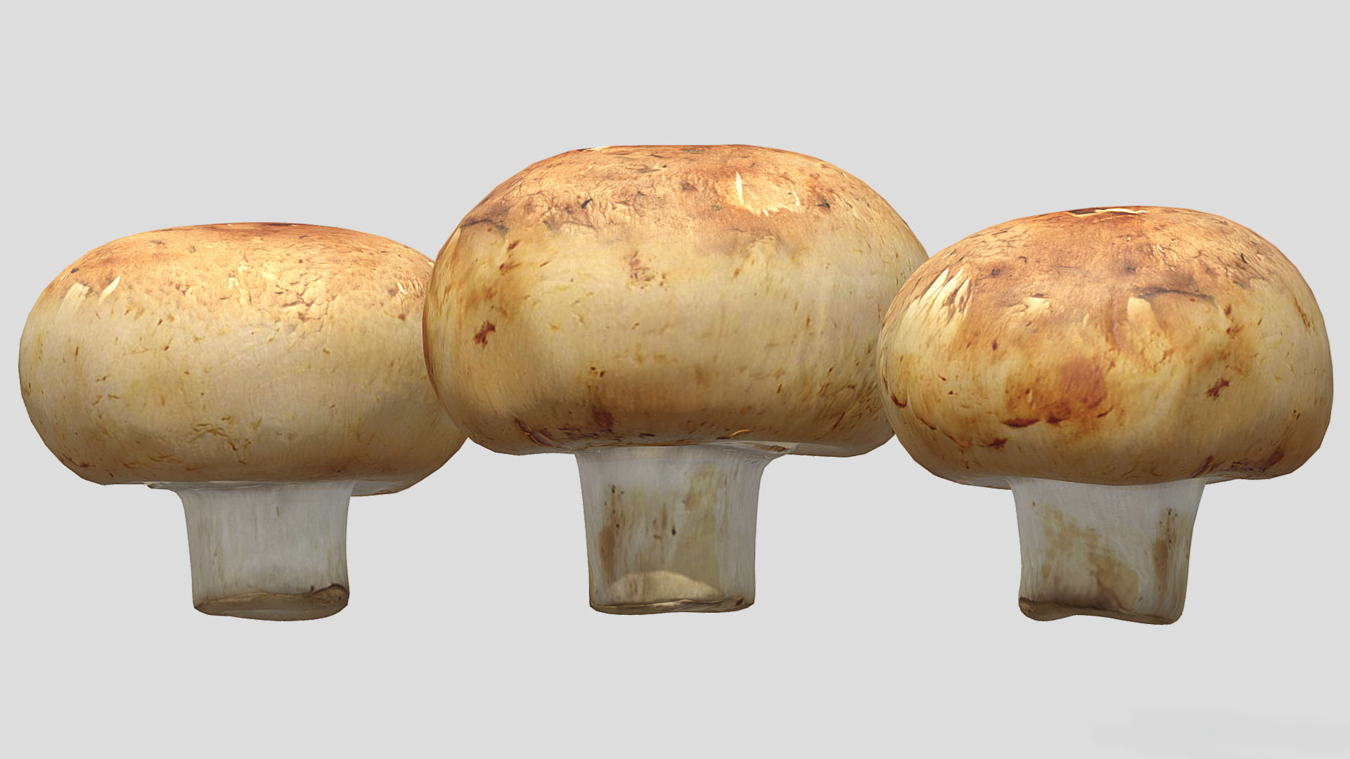Cremini Mushroom Low Poly 3D model_4