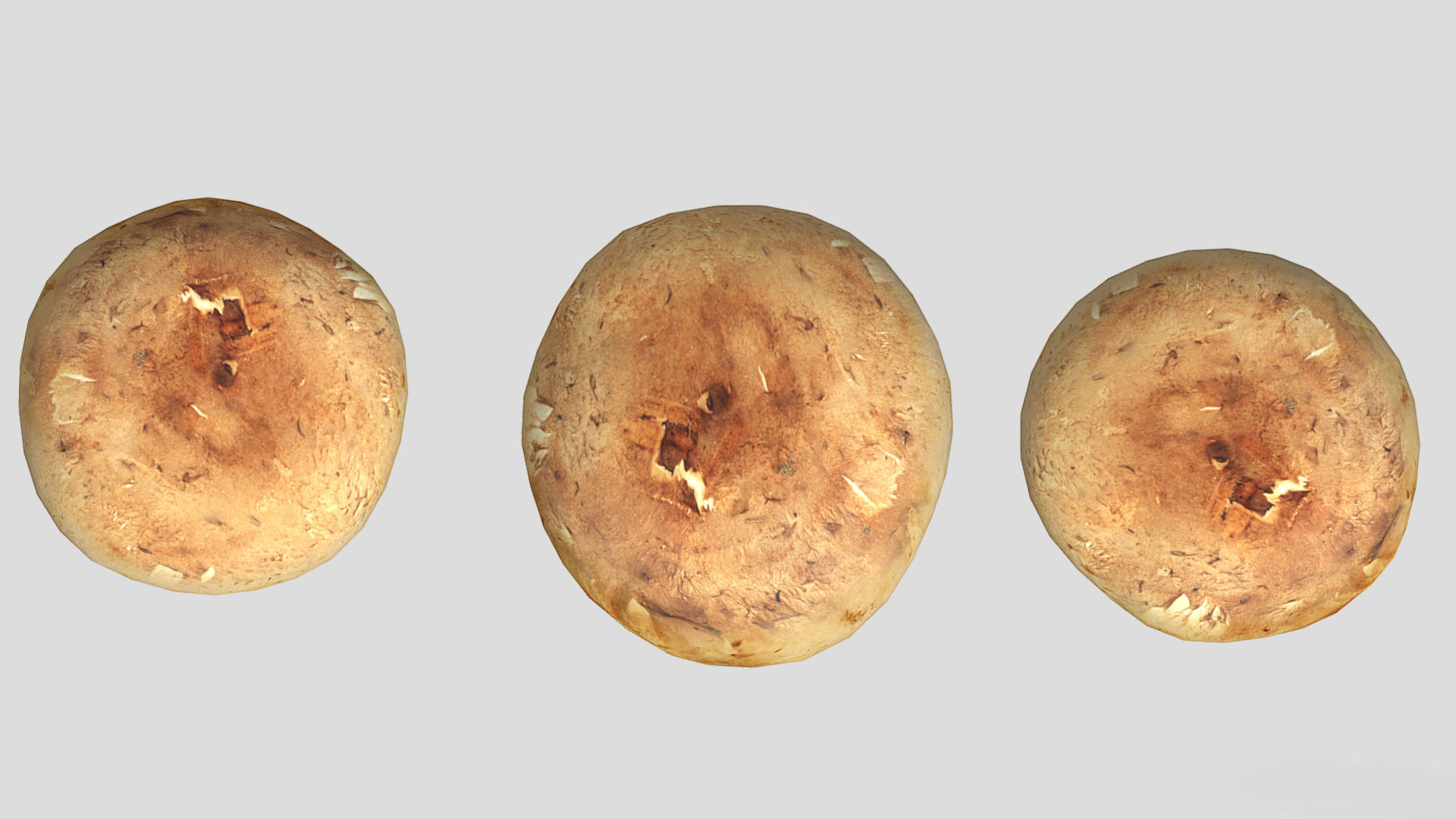 Cremini Mushroom Low Poly 3D model_8