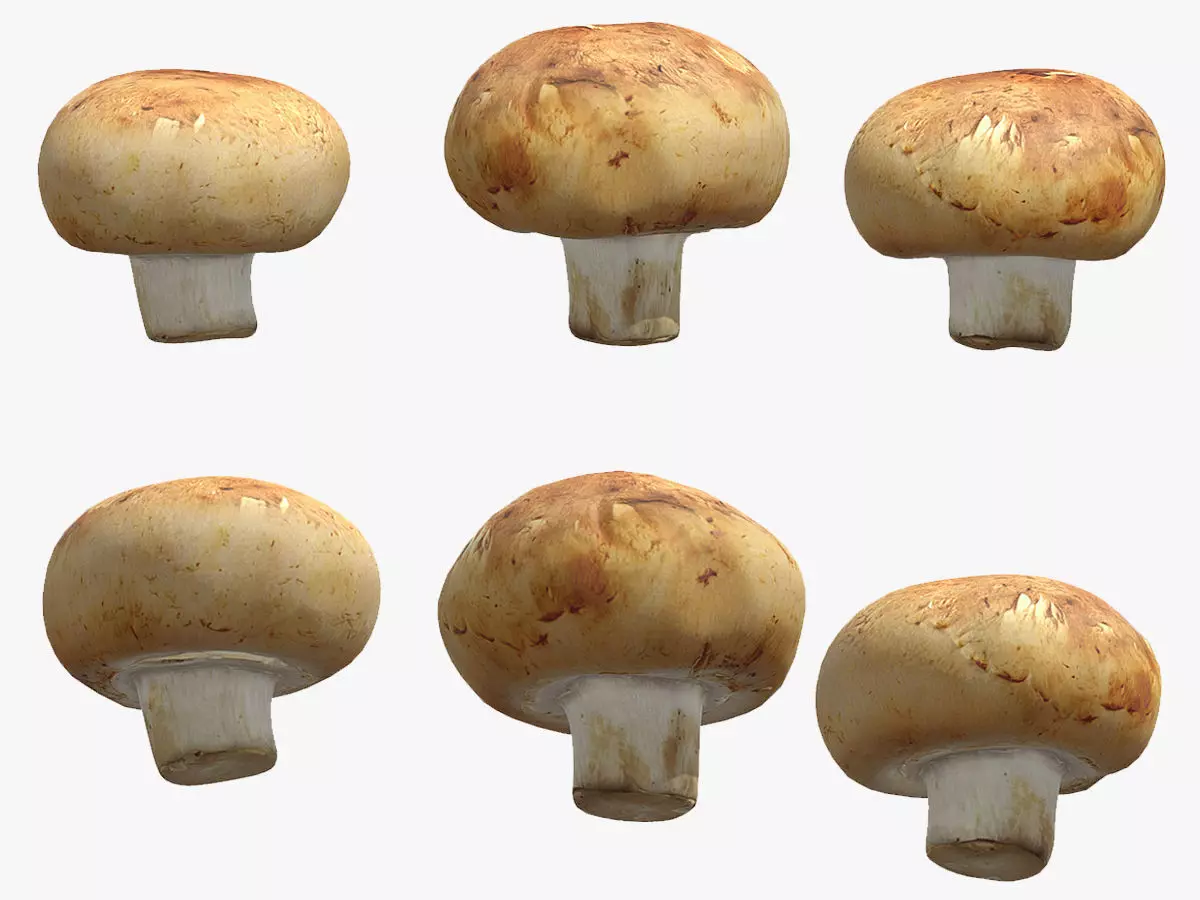 Cremini Mushroom Low Poly 3D model_0