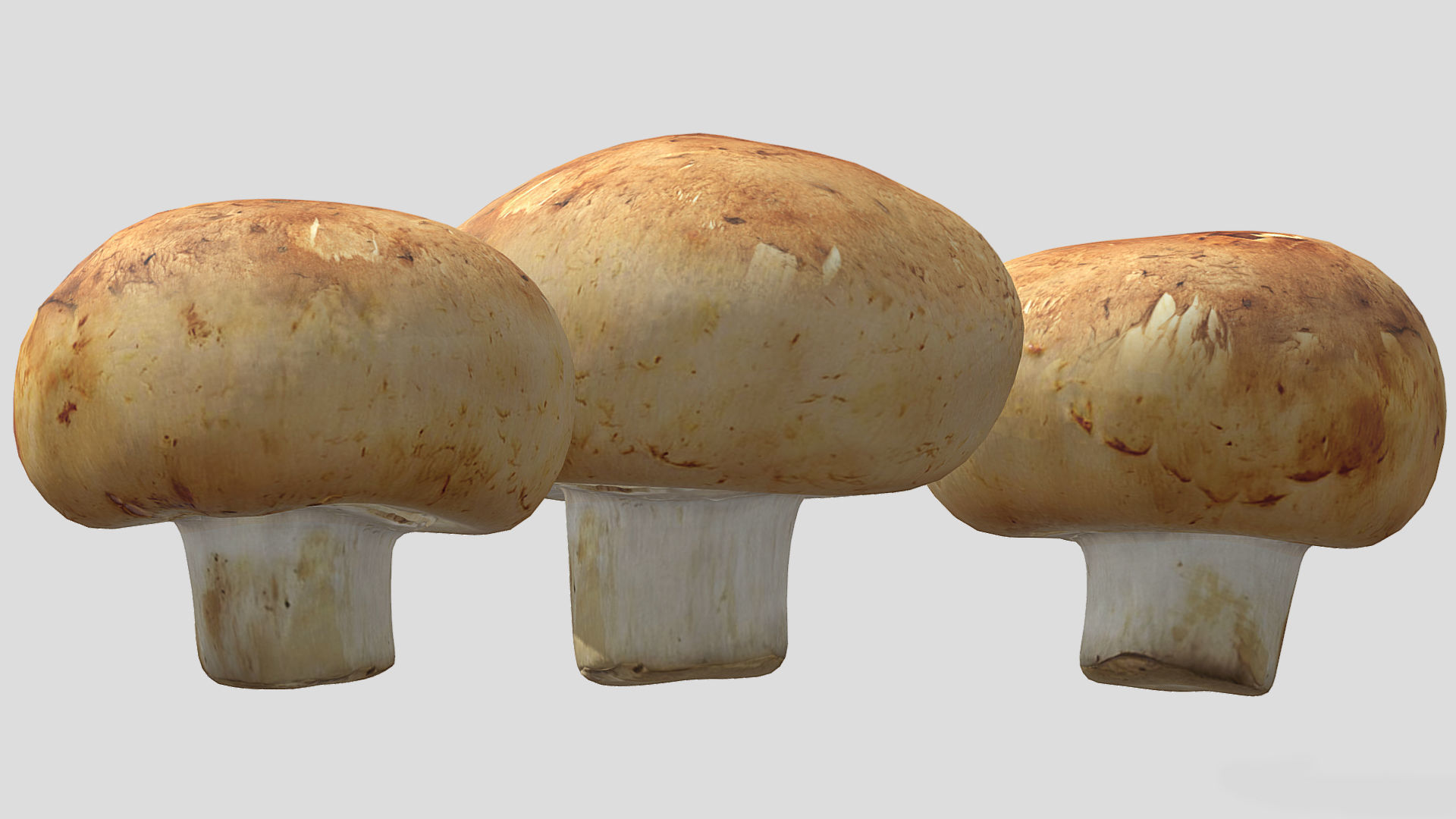 Cremini Mushroom Low Poly 3D model_3