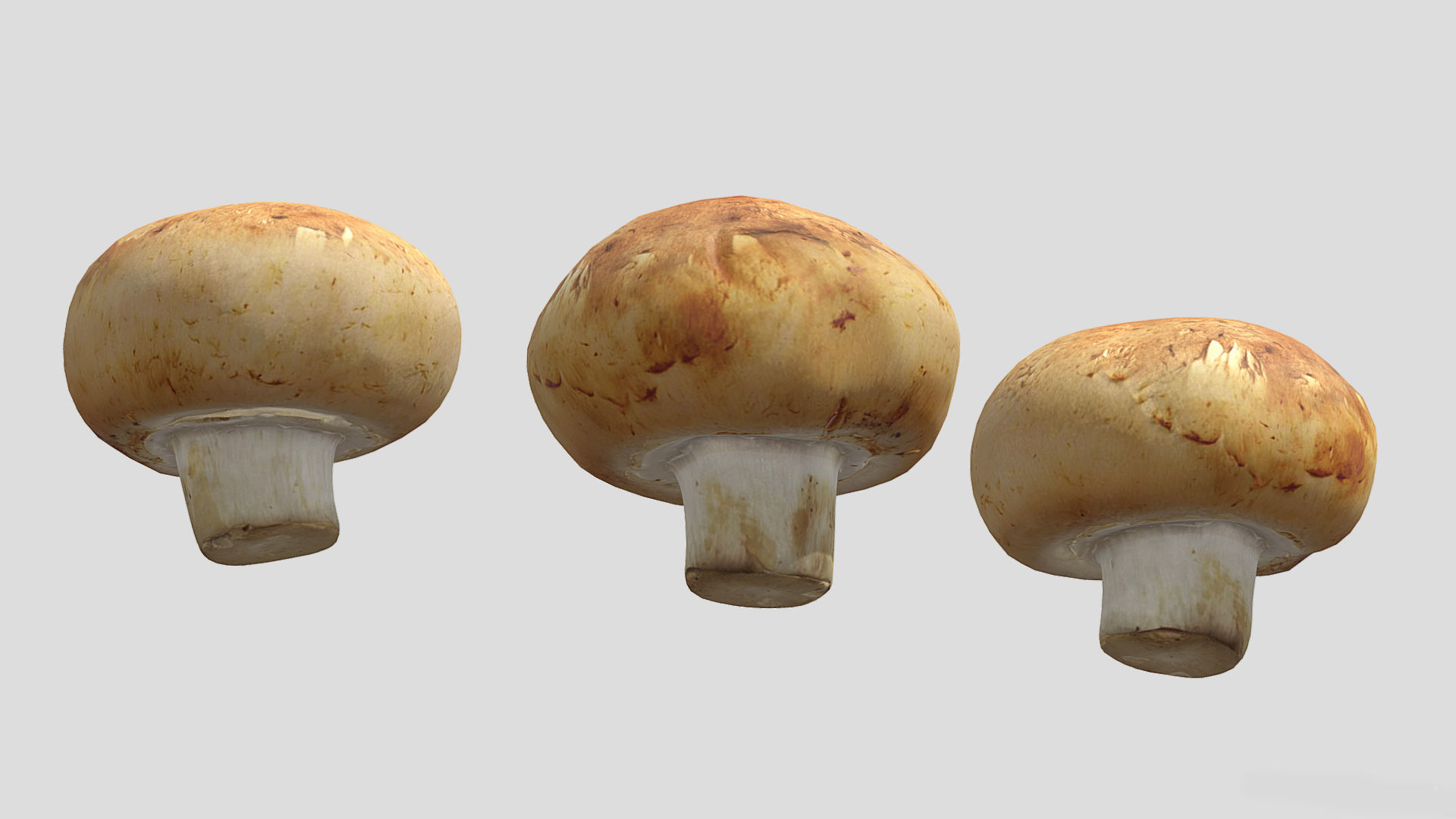 Cremini Mushroom Low Poly 3D model_6