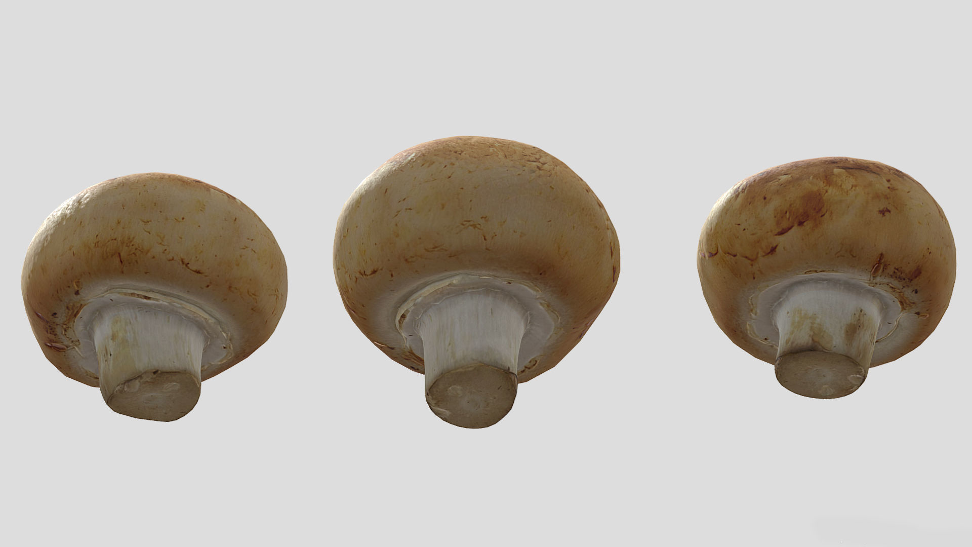 Cremini Mushroom Low Poly 3D model_5