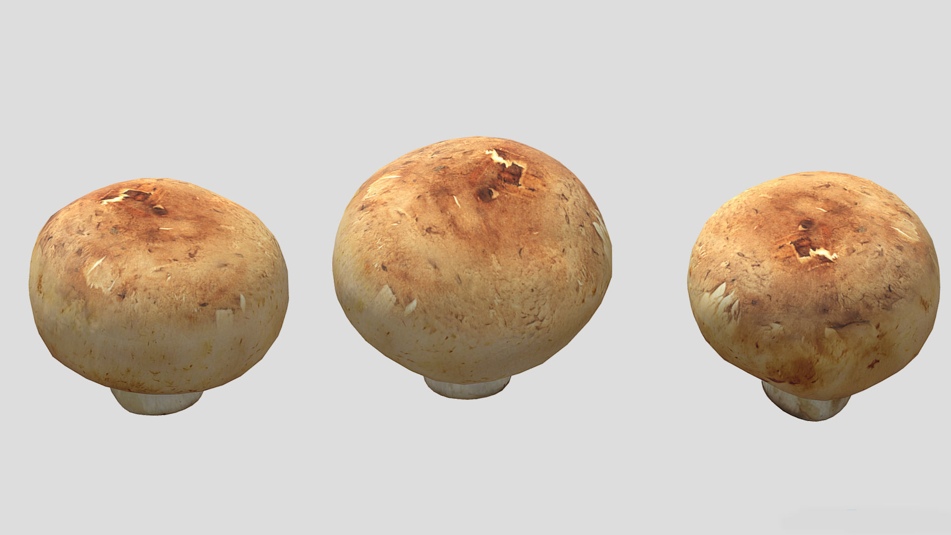 Cremini Mushroom Low Poly 3D model_2