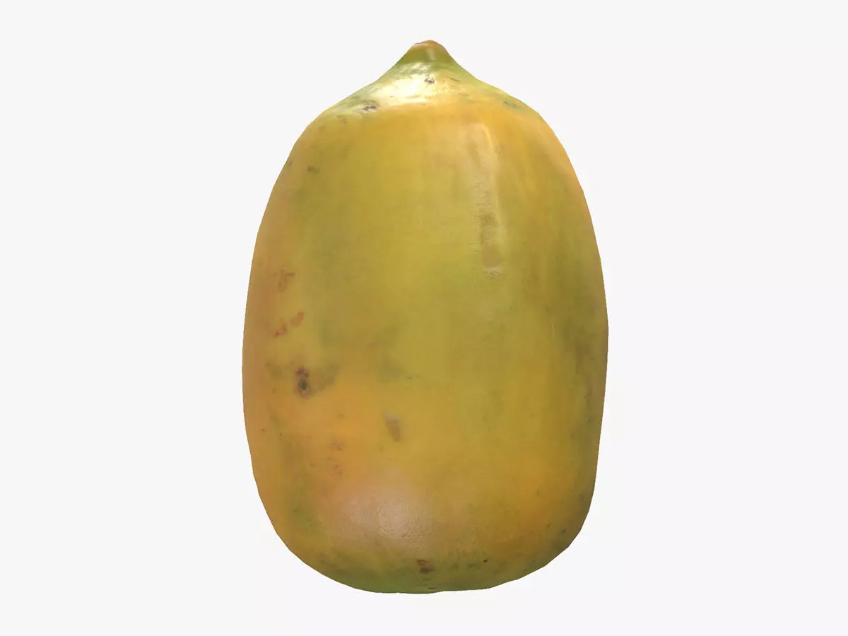 Crenshaw Melon Low Poly 3D model_0