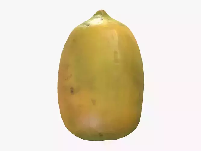 Crenshaw Melon Low Poly 3D model