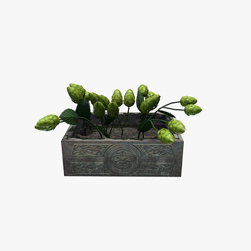 Medieval Hop Tub Low-poly 3D model