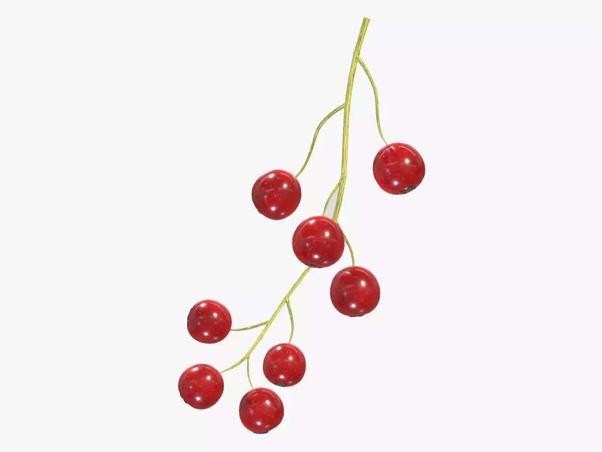 Currants Low Poly 3D model_0