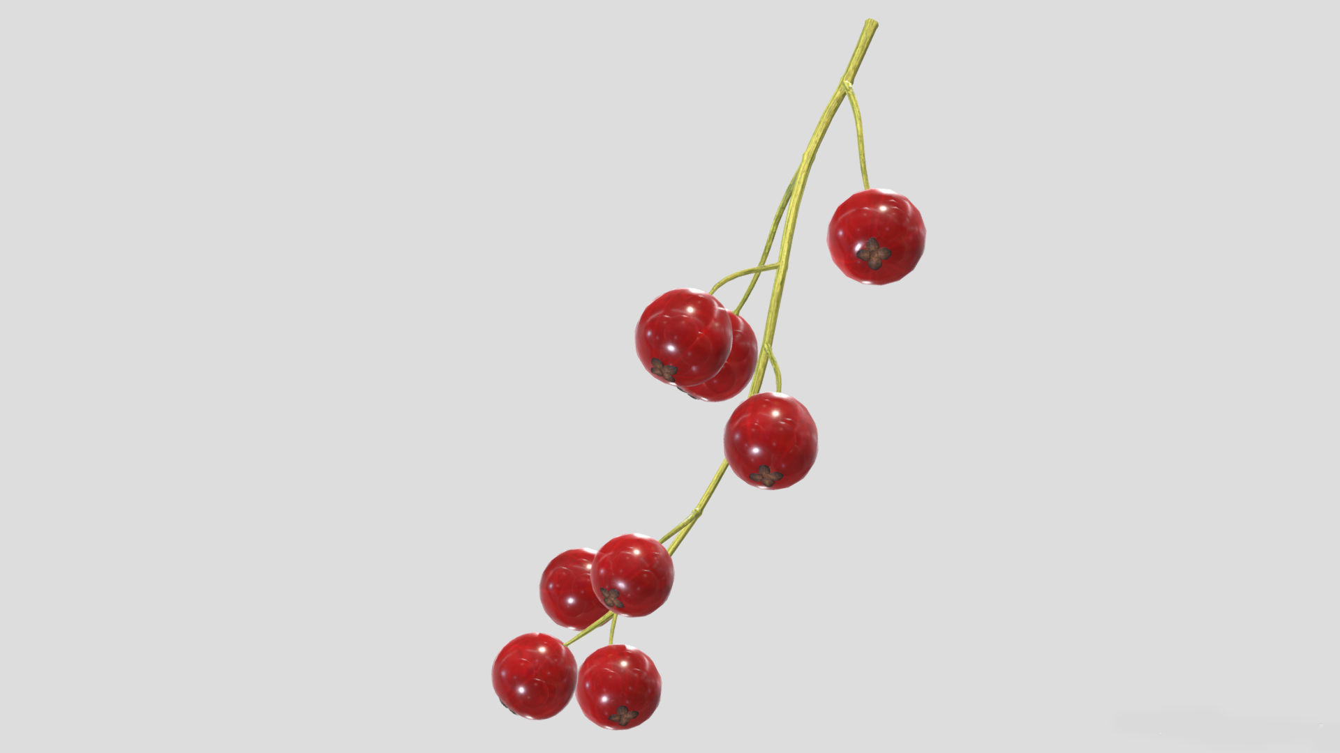 Currants Low Poly 3D model_2