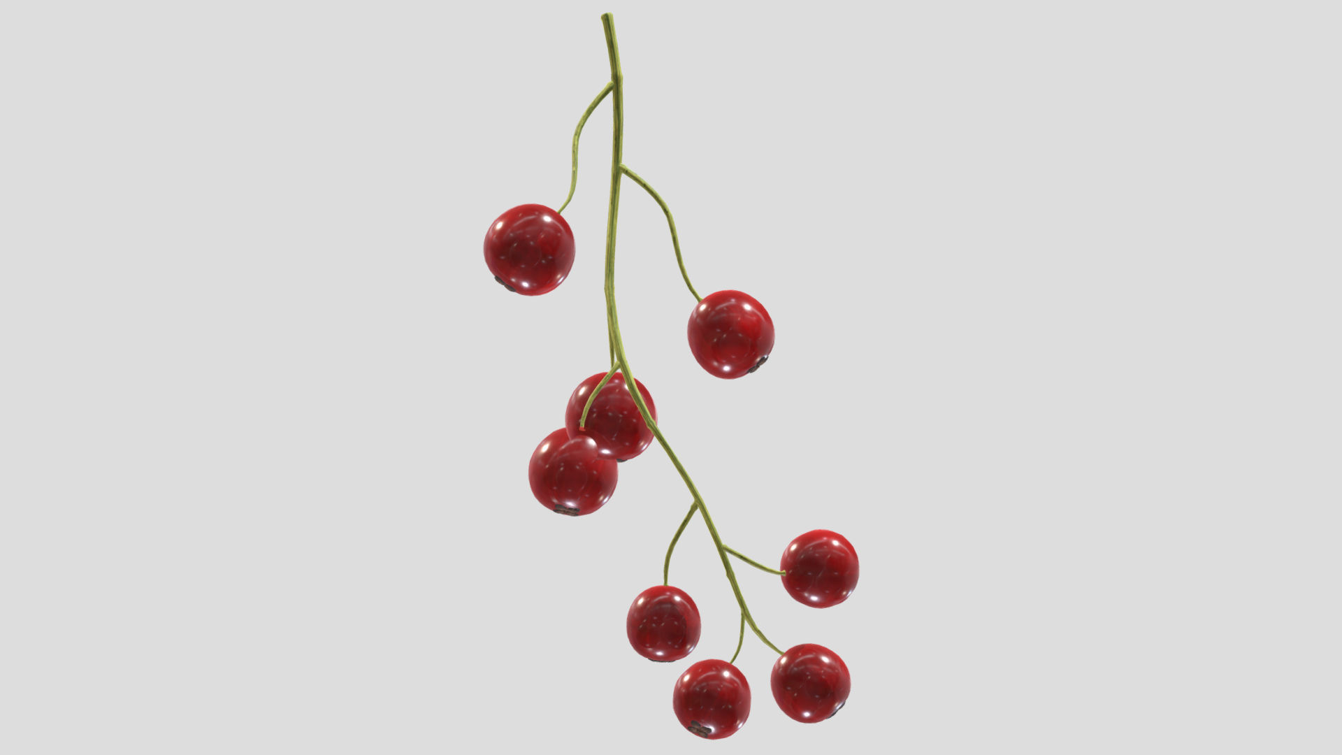 Currants Low Poly 3D model_6