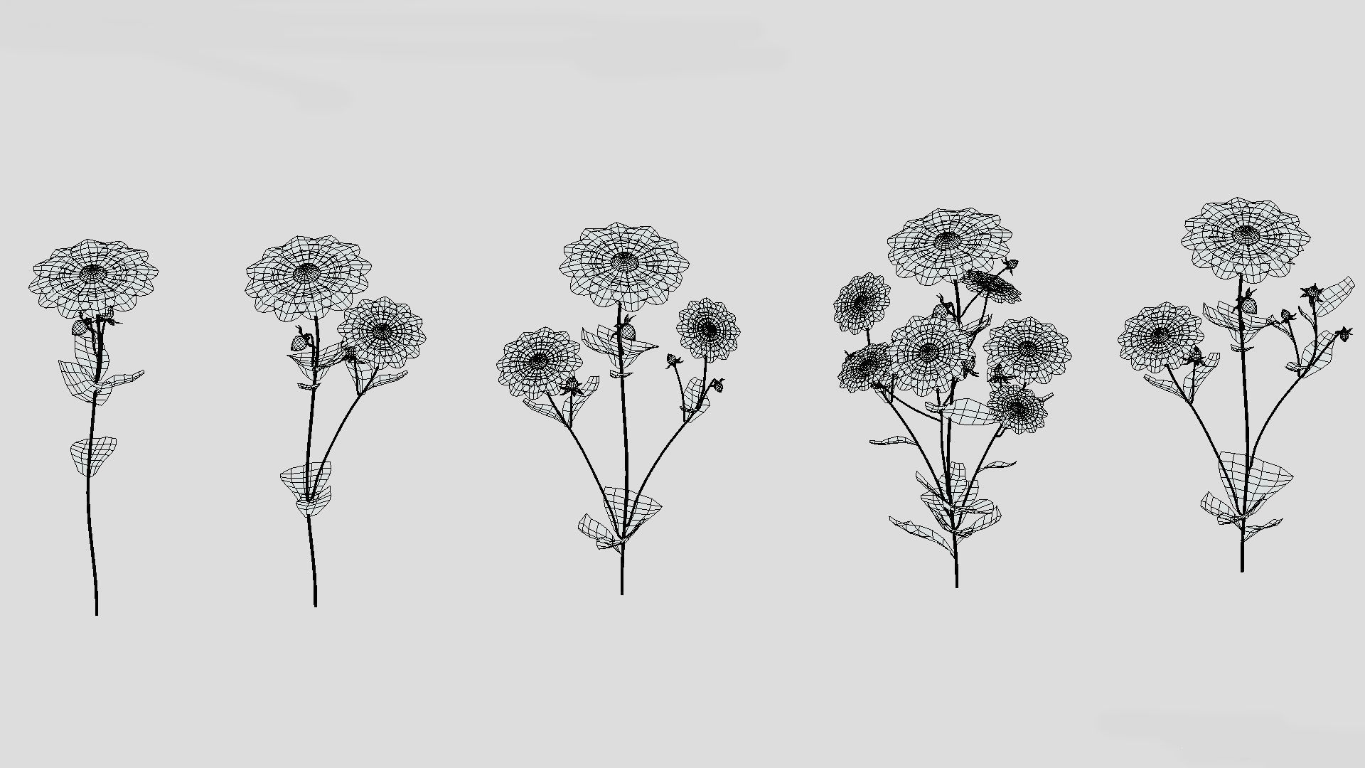 Dahlia Bishop Flower Low Poly 3D model_9