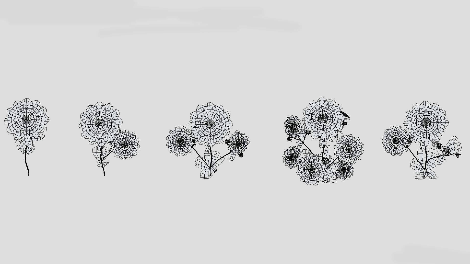 Dahlia Bishop Flower Low Poly 3D model_10