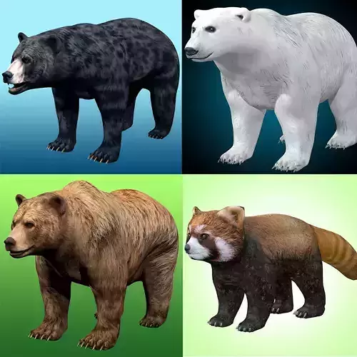 Bear 3D Models Pack Collection 