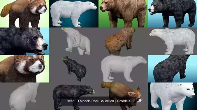 Bear 3D Models Pack Collection