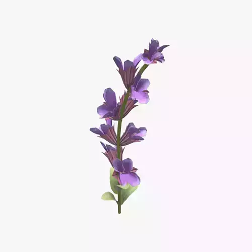 Medieval Sage Herbal