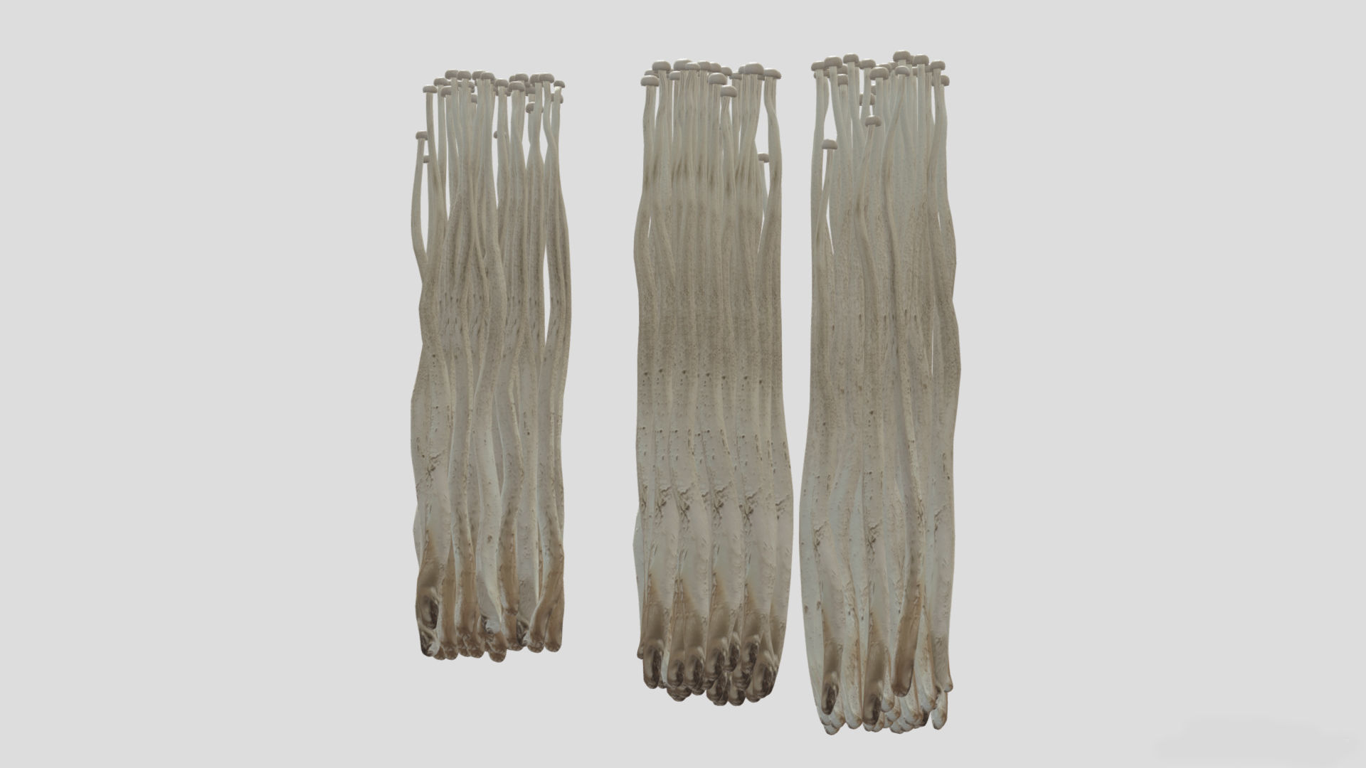 Enoki Mushroom Low PolyAC 3D model_3