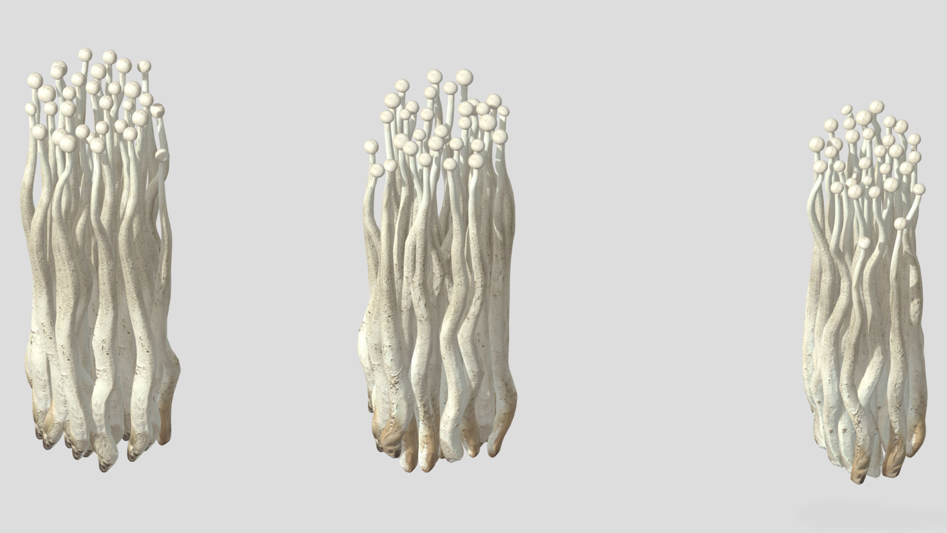 Enoki Mushroom Low PolyAC 3D model_2