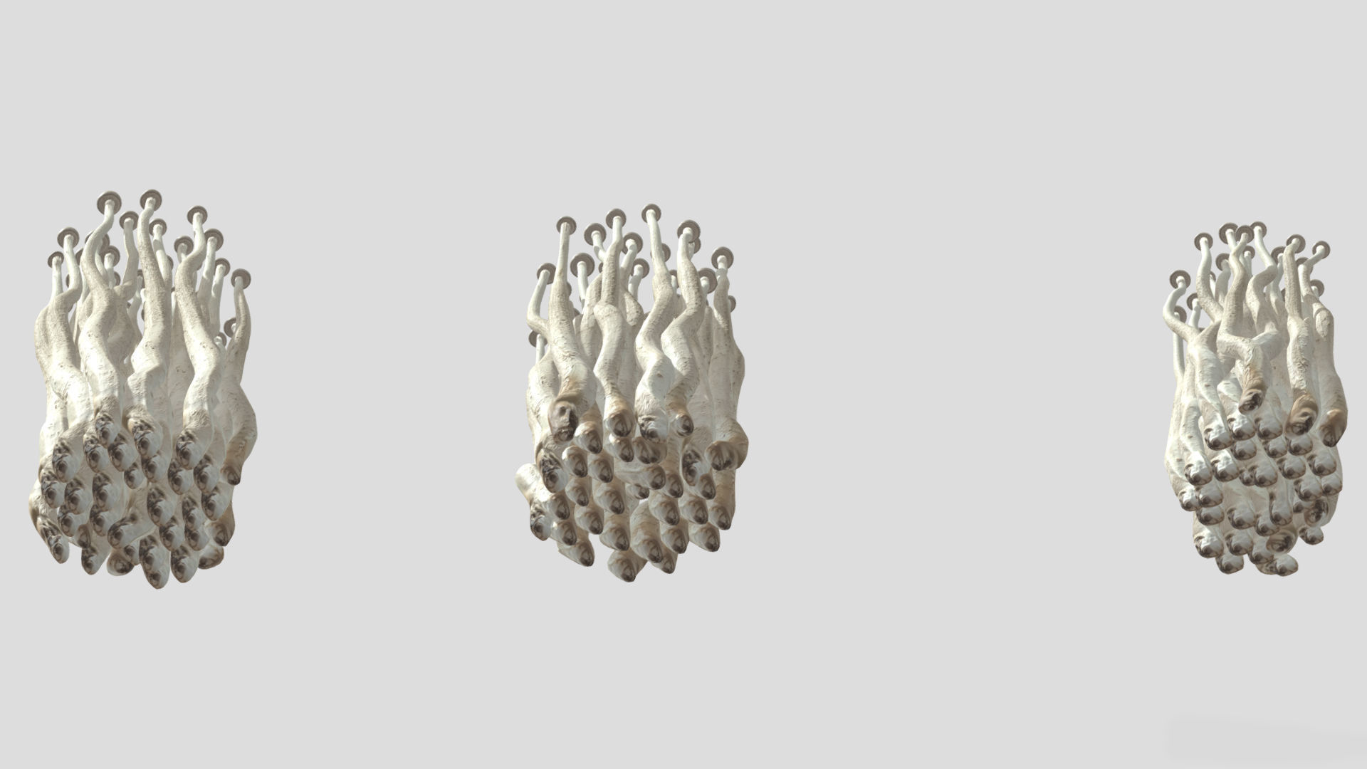 Enoki Mushroom Low PolyAC 3D model_8