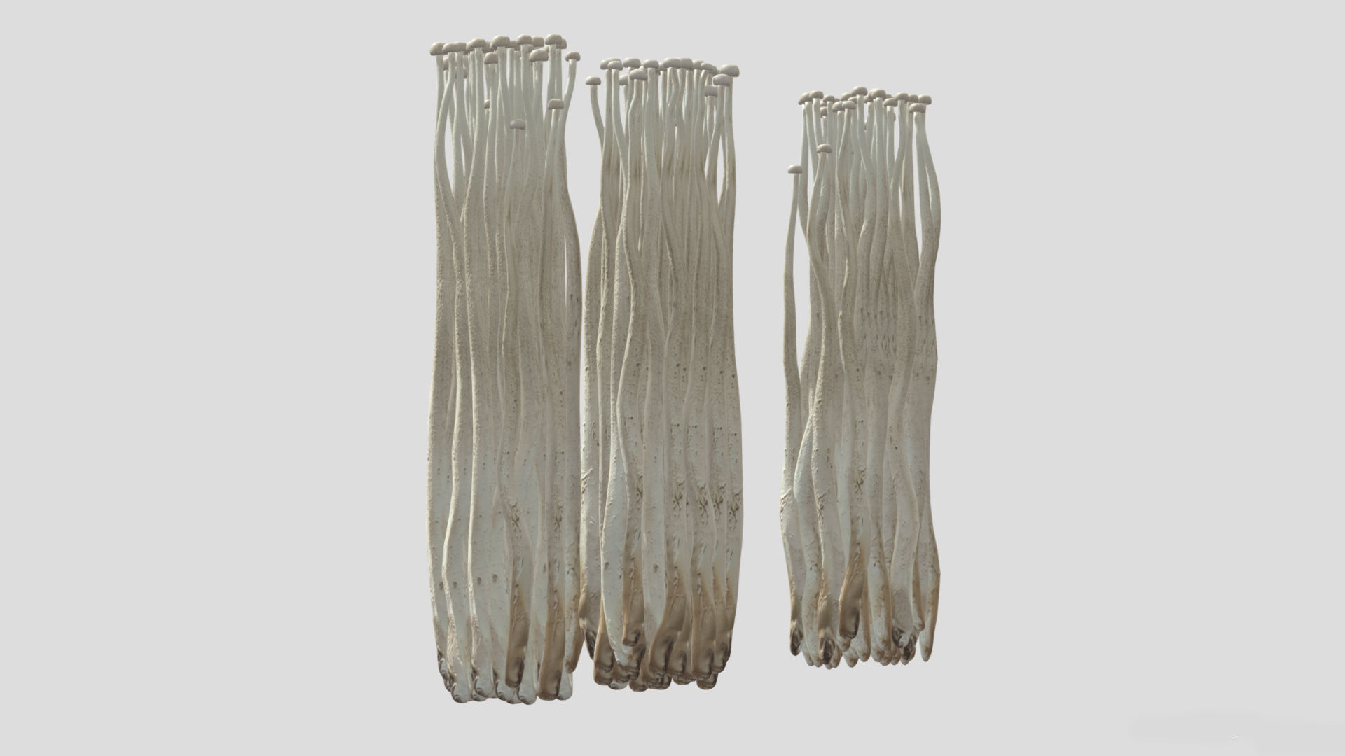 Enoki Mushroom Low PolyAC 3D model_4