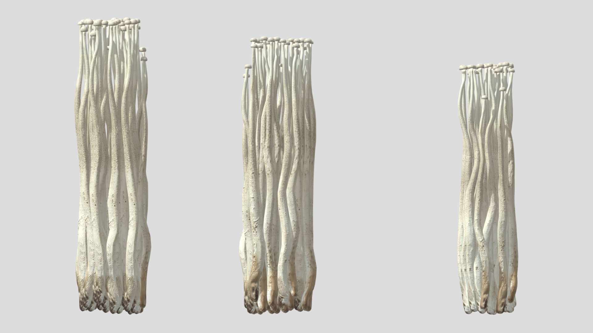 Enoki Mushroom Low PolyAC 3D model_1