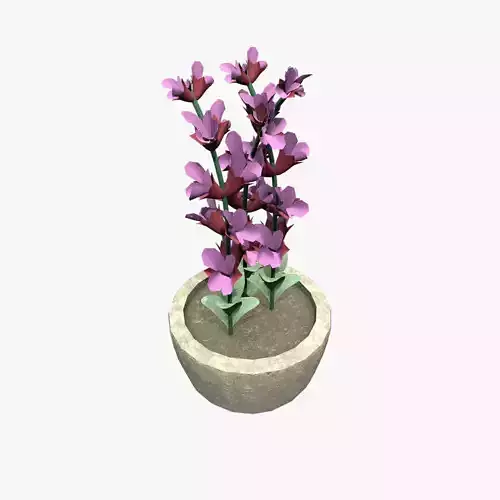 Medieval Salvia Pot Low-poly 3D model