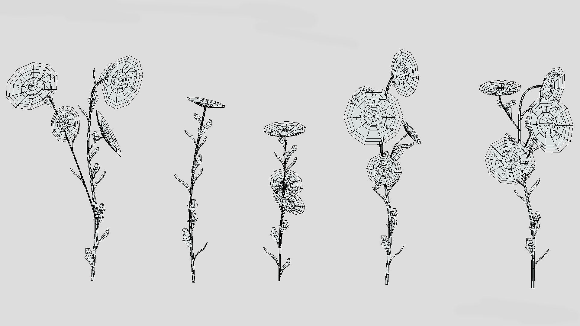 Erigeron Flower Low Poly 3D model_10