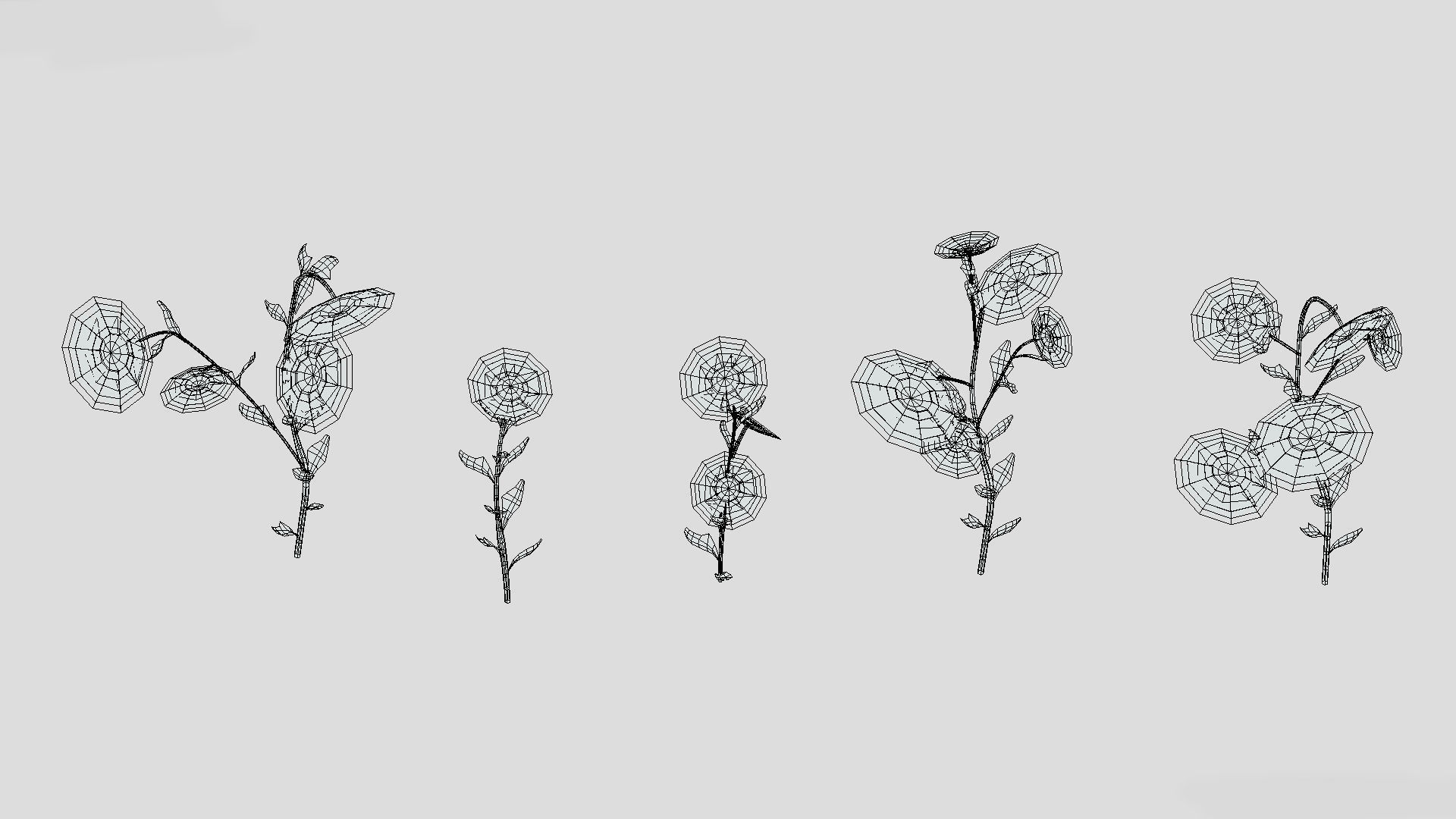 Erigeron Flower Low Poly 3D model_9