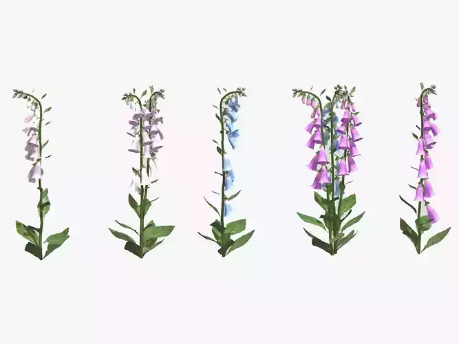Foxglove Flower Low Poly 3D model