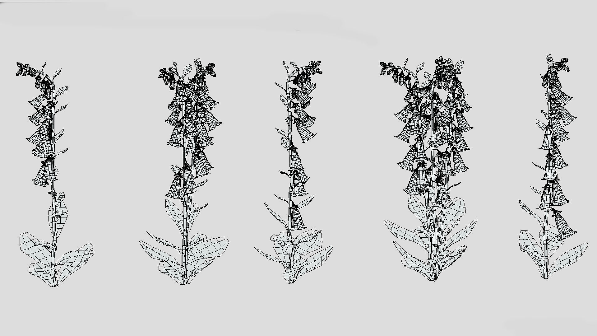 Foxglove Flower Low Poly 3D model_9