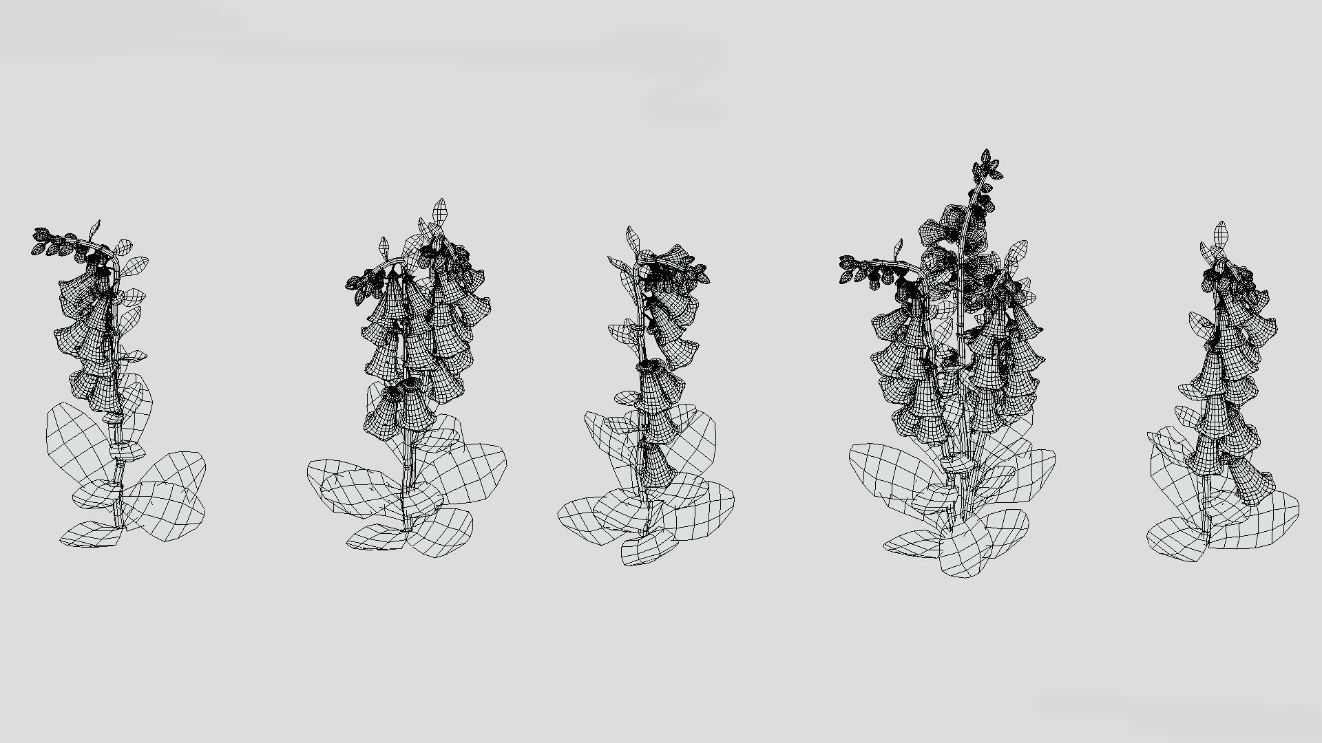 Foxglove Flower Low Poly 3D model_10