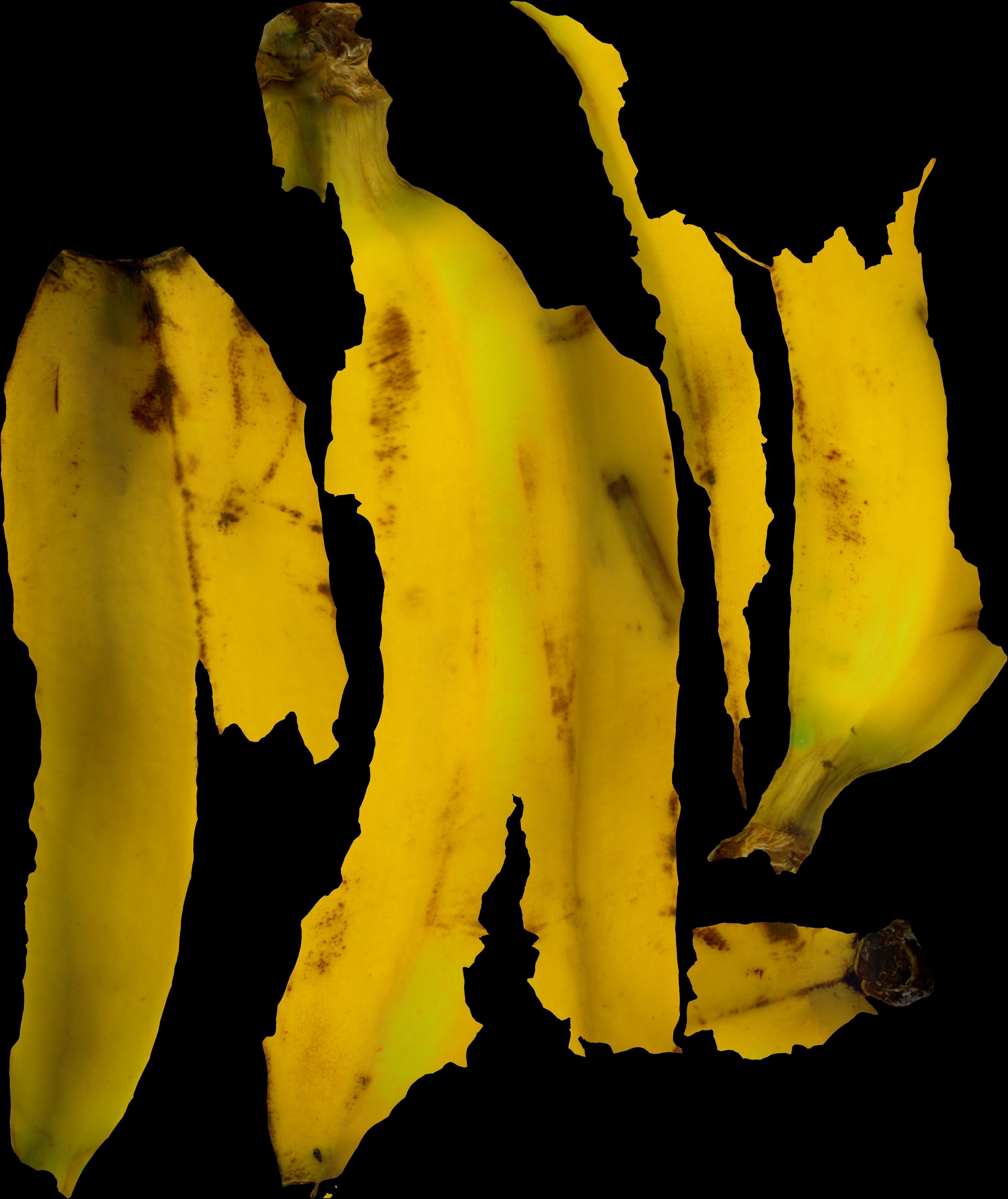 banane Low-poly 3D model_10